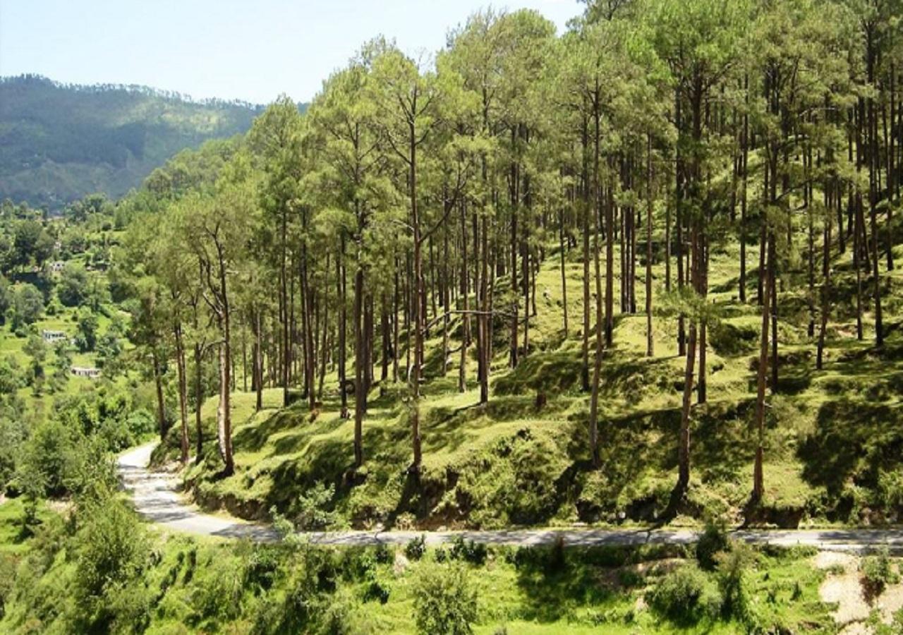 Uttarakhand Resort Kausani Extérieur photo